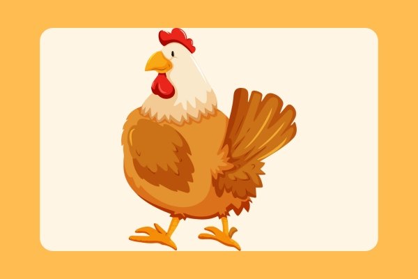 how to draw a hen