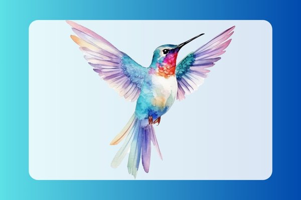 how to draw a hummingbird