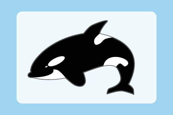 how to draw a killer whale