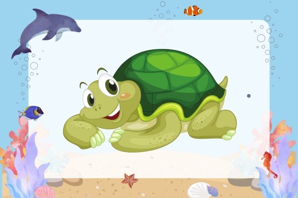 how to draw an turtle