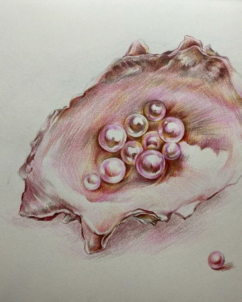 Easy how to draw a seashell easy 5