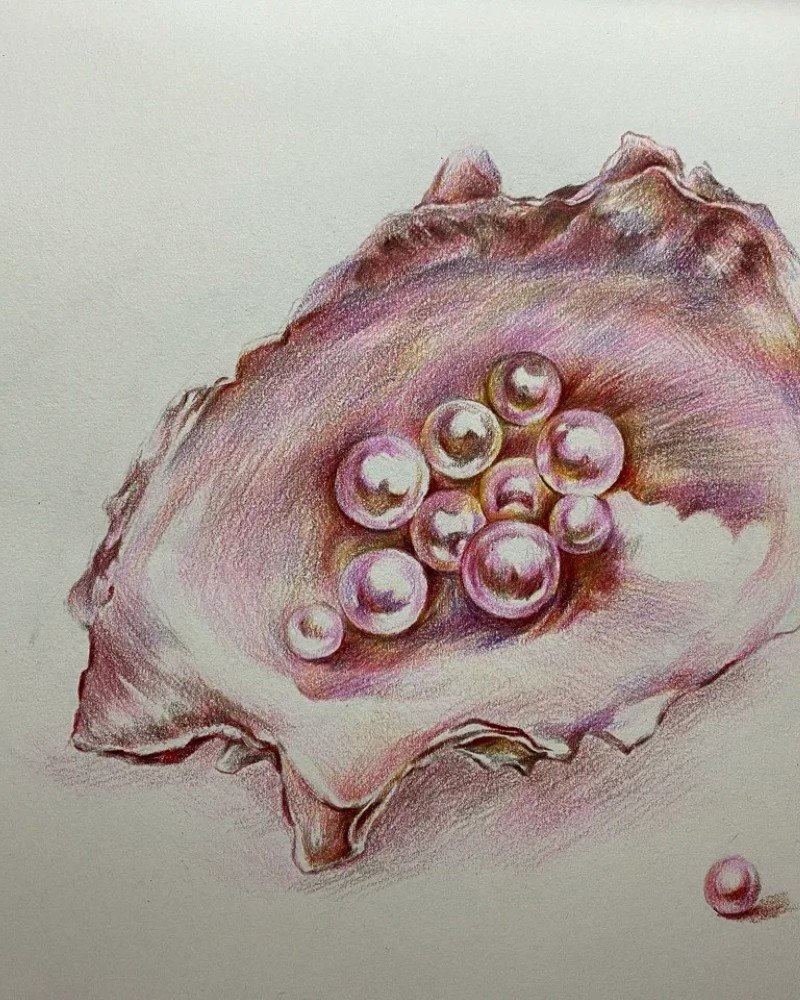 Easy how to draw a seashell easy