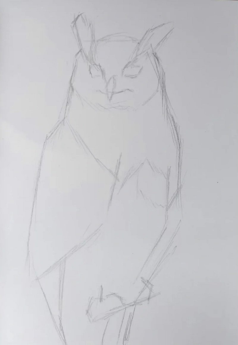 How to draw a an owl 1
