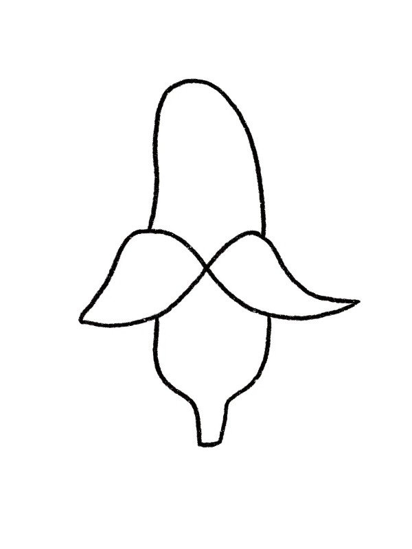 How to draw a banana step by step 4