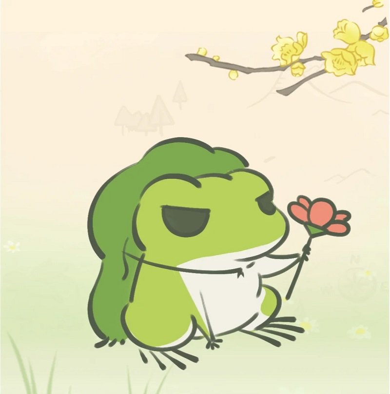 How to draw a basic frog