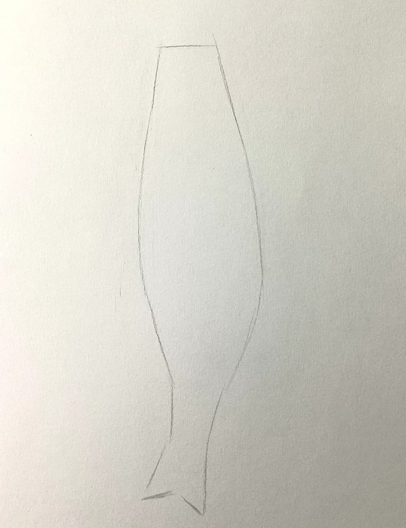 How to draw a bass fish 3