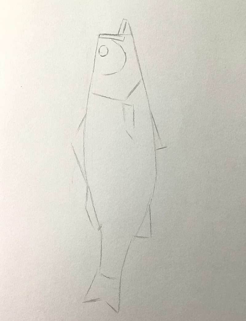 How to draw a bass fish 2