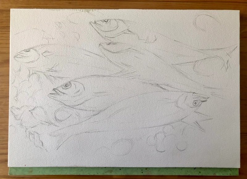 How to draw a bass fish easy 1