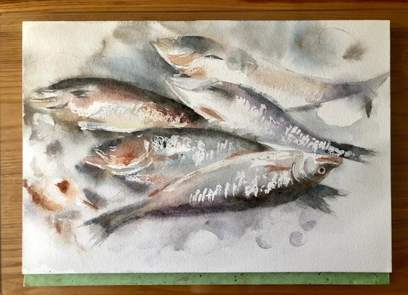 How to draw a bass fish easy 2