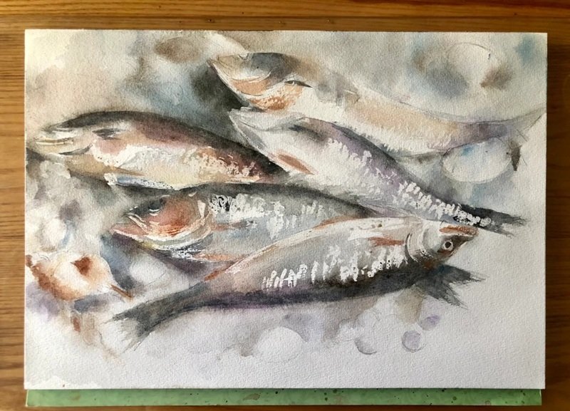 How to draw a bass fish easy 3
