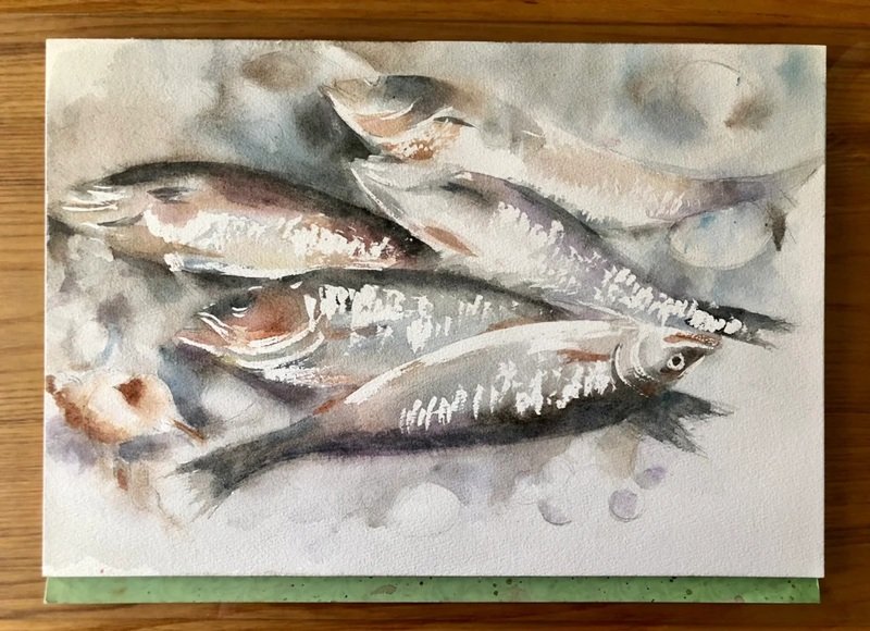 How to draw a bass fish easy 4