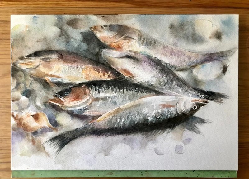 How to draw a bass fish easy 5