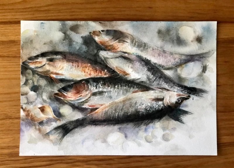 How to draw a bass fish easy