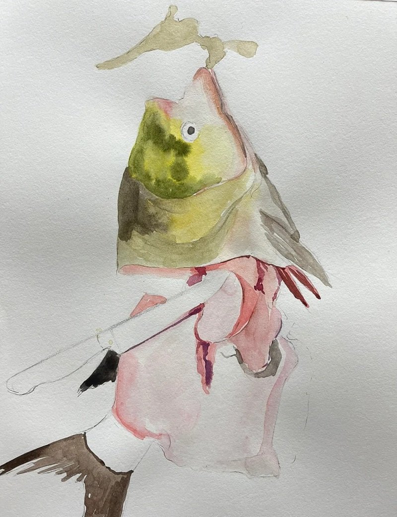 How to draw a bass fish step by step easy 2