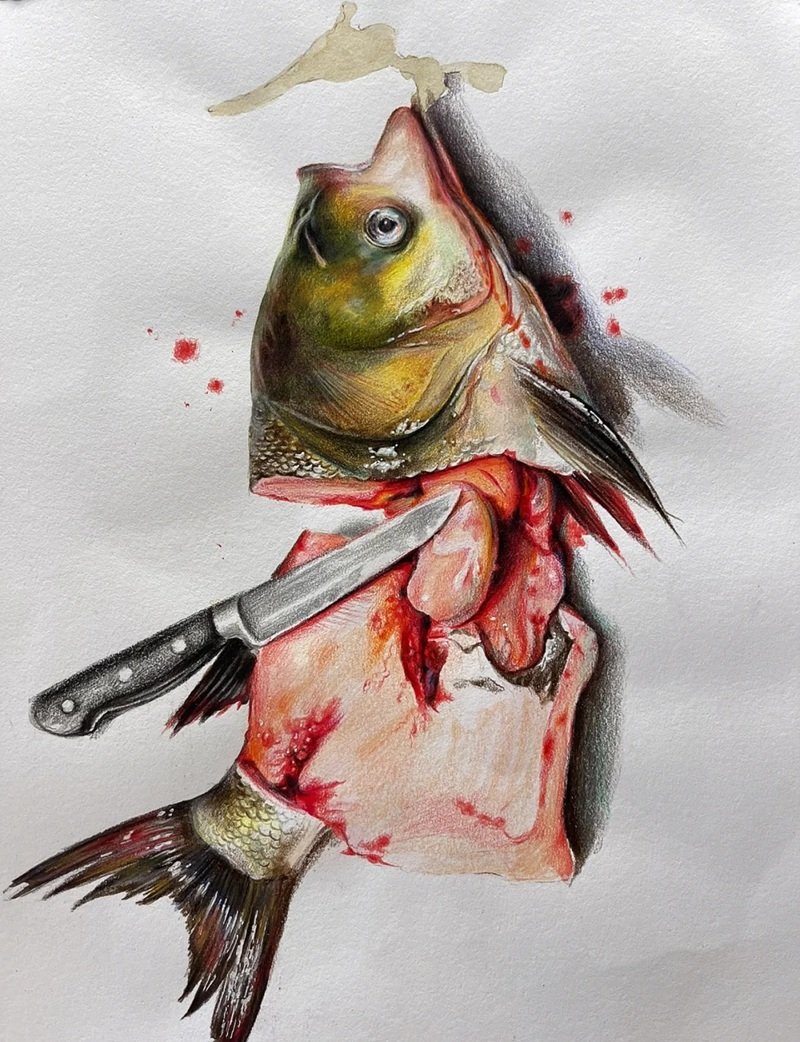 How to draw a bass fish step by step easy