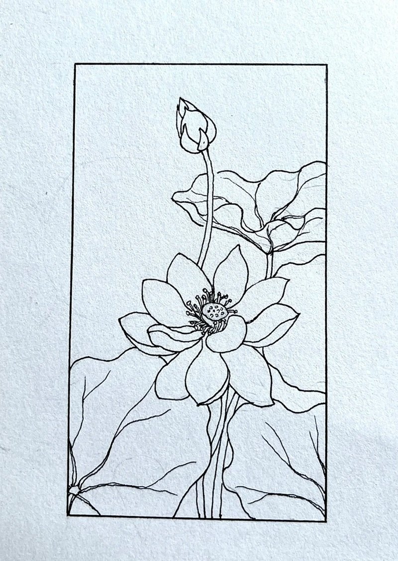 How to draw a beautiful lotus flower 10