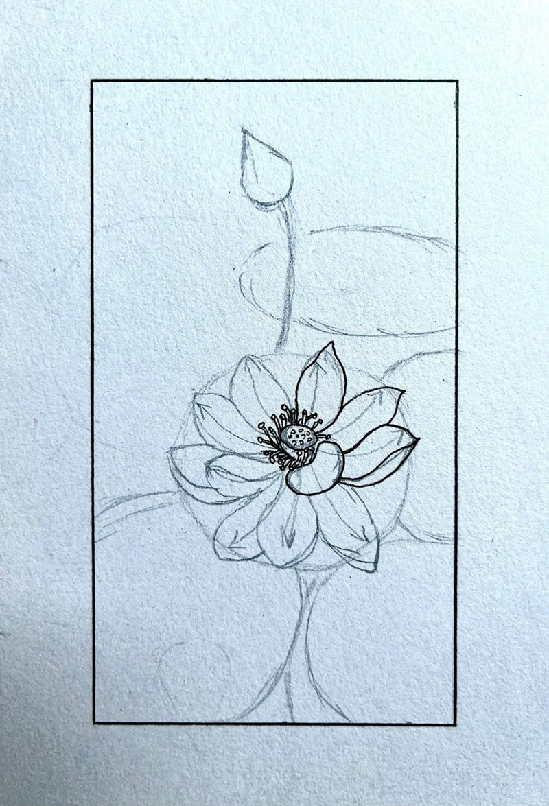 How to draw a beautiful lotus flower 4