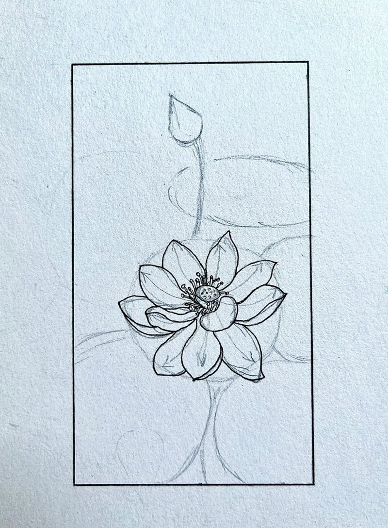 How to draw a beautiful lotus flower 5