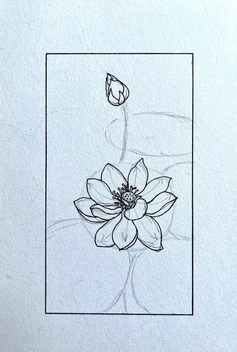 How to draw a beautiful lotus flower 6