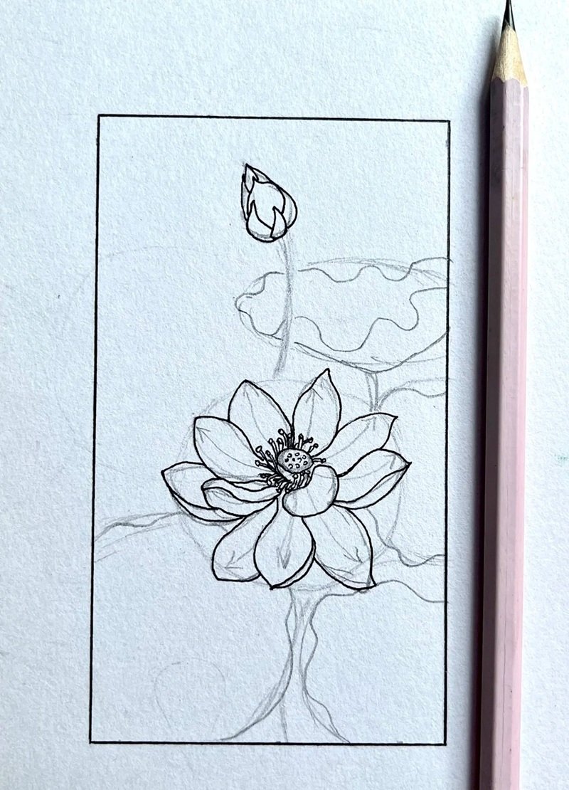 How to draw a beautiful lotus flower 7