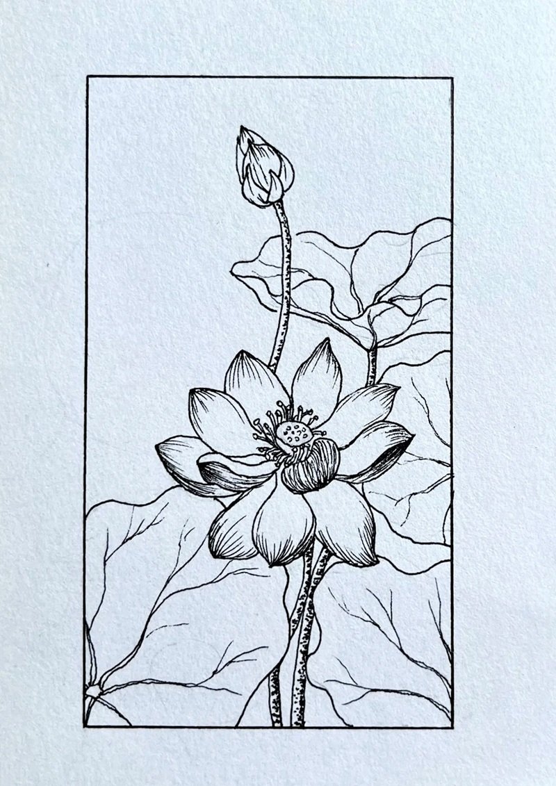 How to draw a beautiful lotus flower