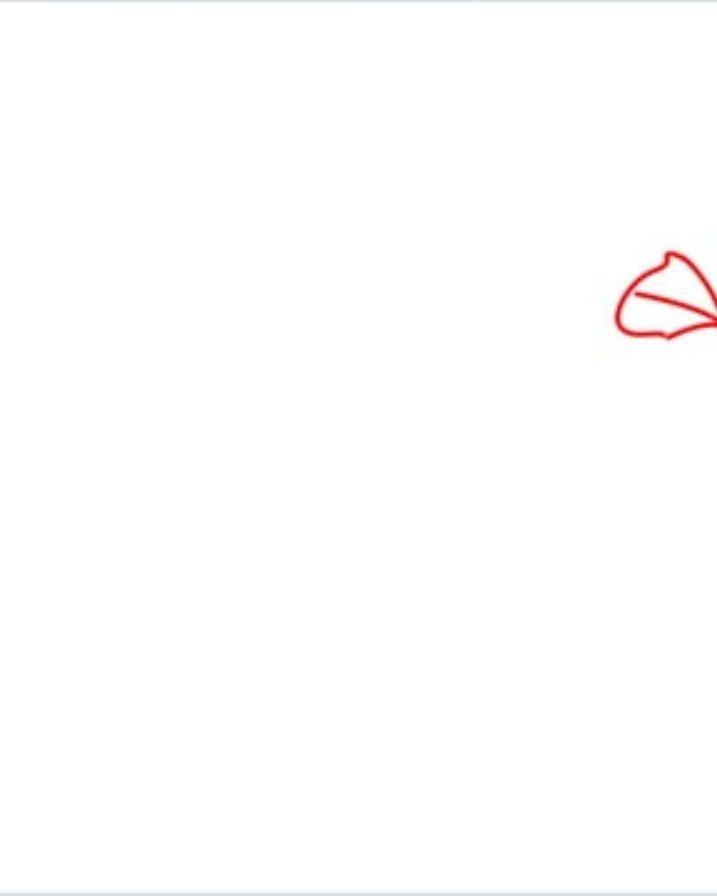 How to draw a bird cardinal 1