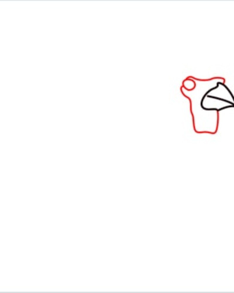 How to draw a bird cardinal 2