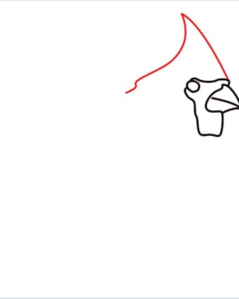 How to draw a bird cardinal 3