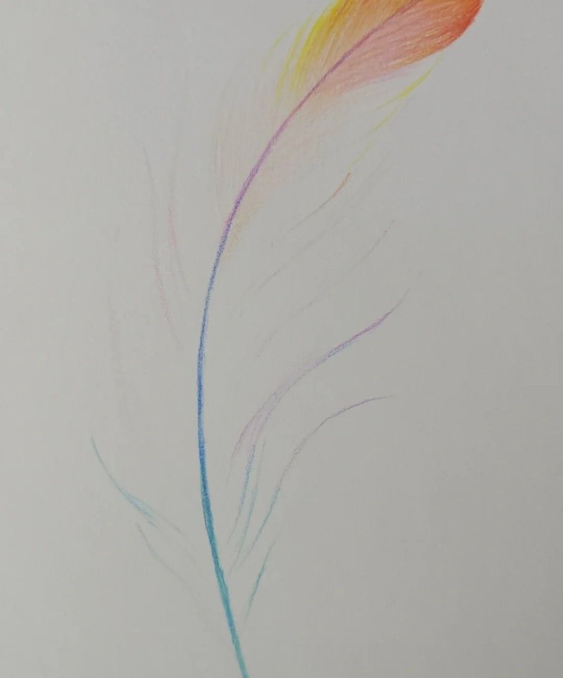 How to draw a bird feather 2