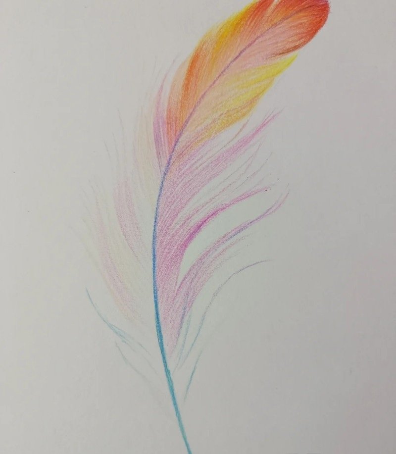 How to draw a bird feather 3