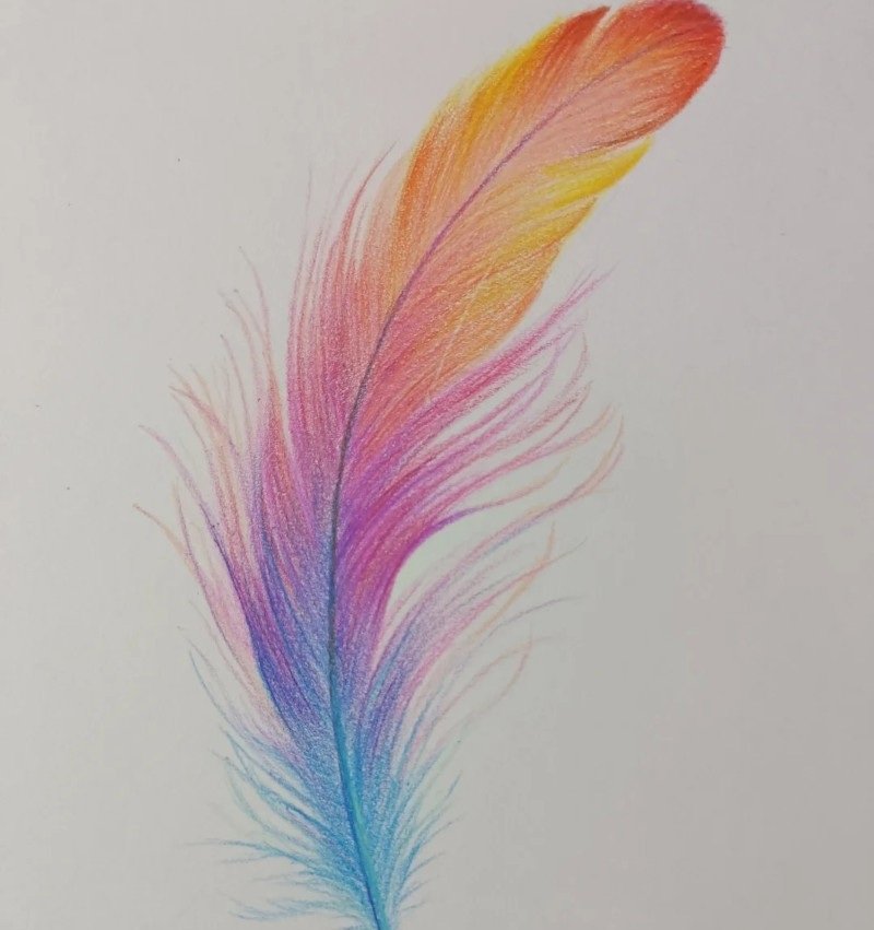 How to draw a bird feather 4