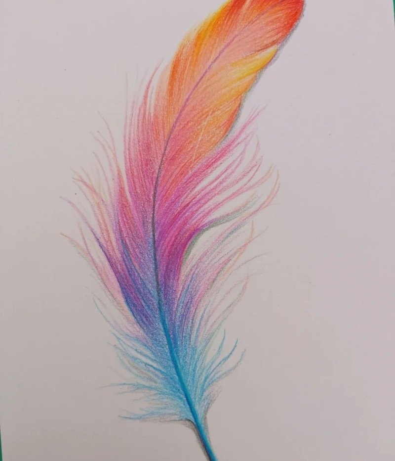 How to draw a bird feather