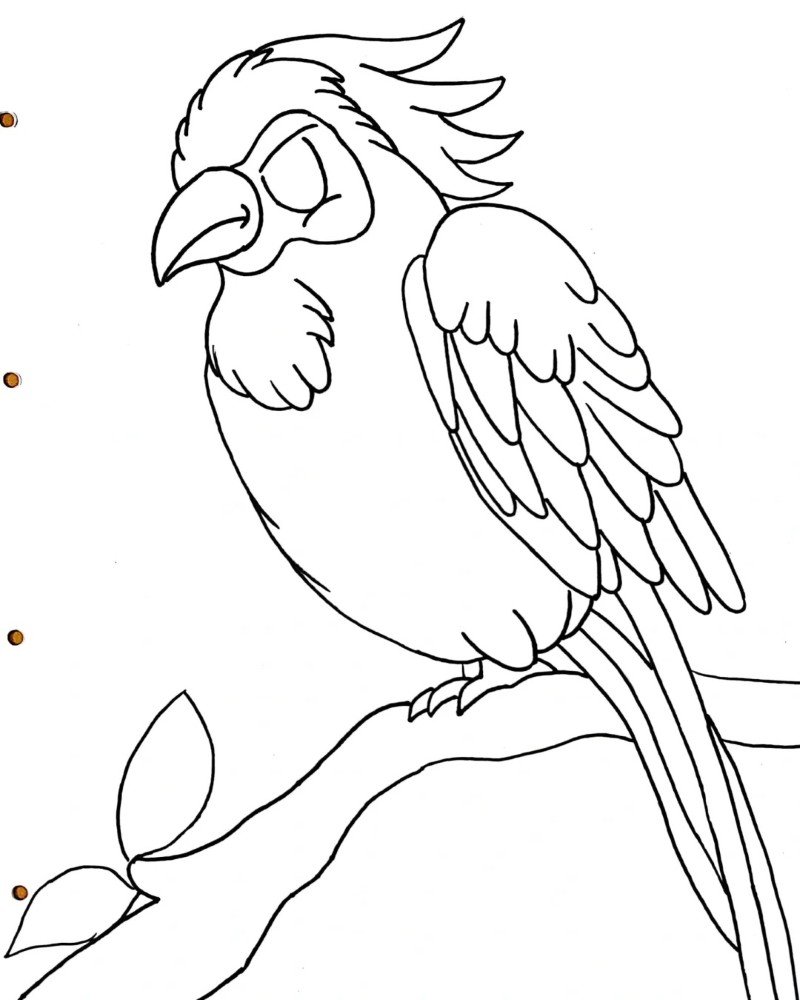 How to draw a bird Parrot 1