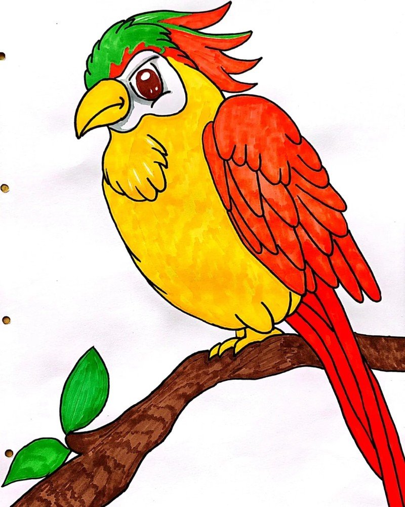 How to draw a bird Parrot 2