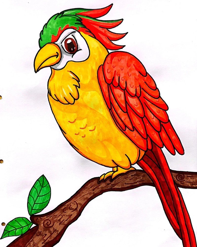 How to draw a bird Parrot 3