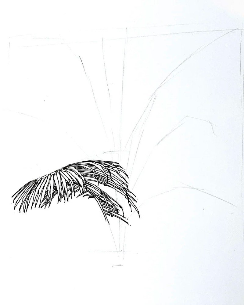 How to draw a black bendy palm tree 1
