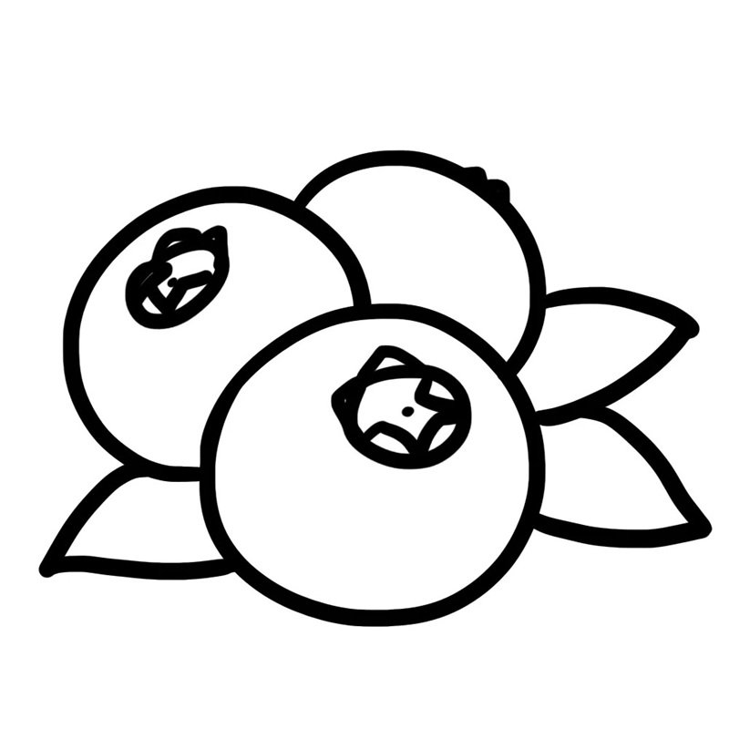 How to draw a blueberry 6