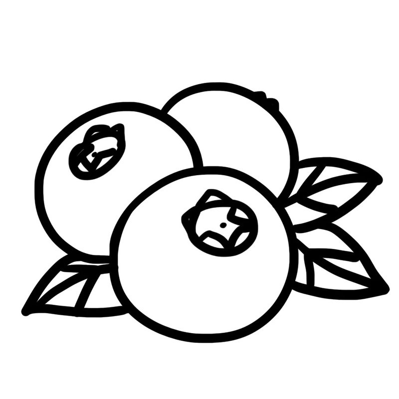 How to draw a blueberry 7