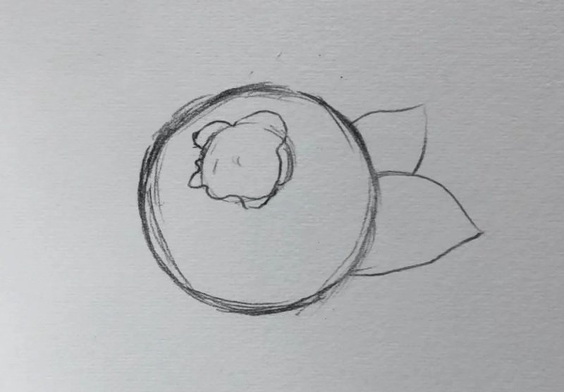 How to draw a blueberry beautiful 1