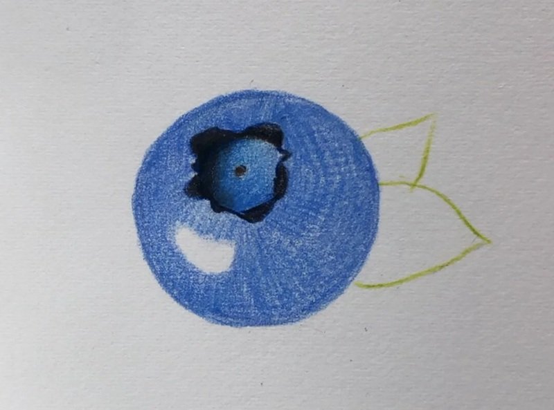 How to draw a blueberry beautiful 2