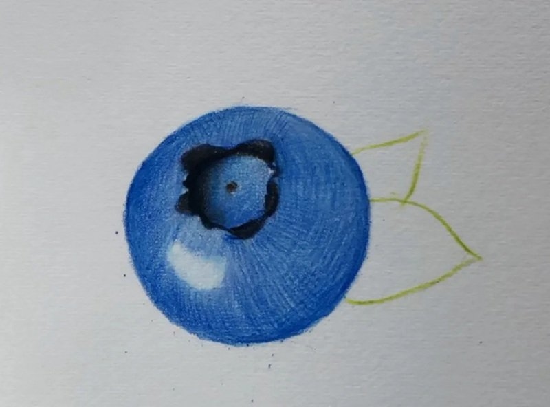 How to draw a blueberry beautiful 3