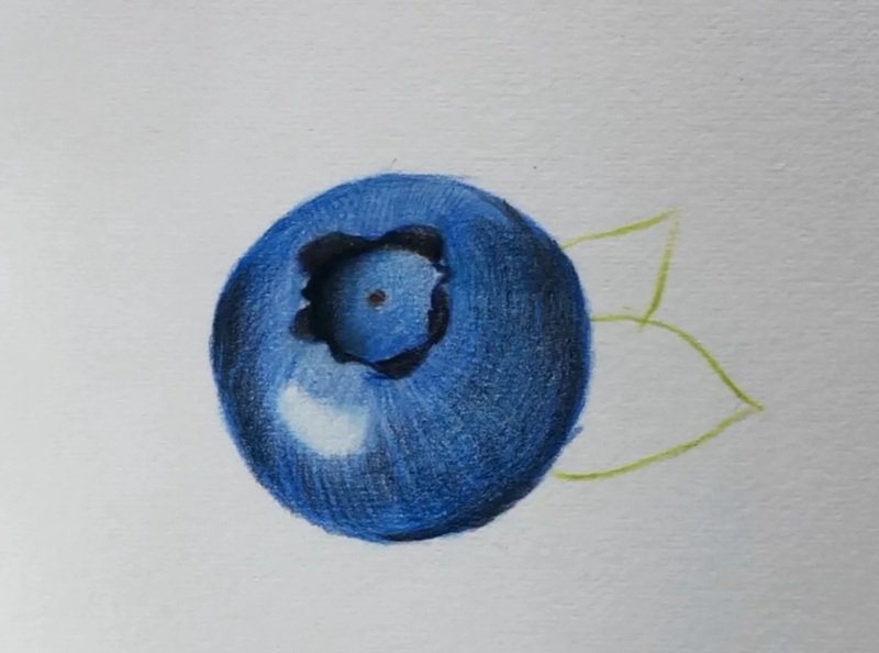 How to draw a blueberry beautiful 4