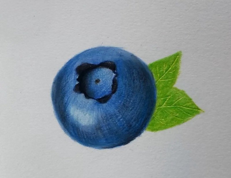 How to draw a blueberry beautiful 5