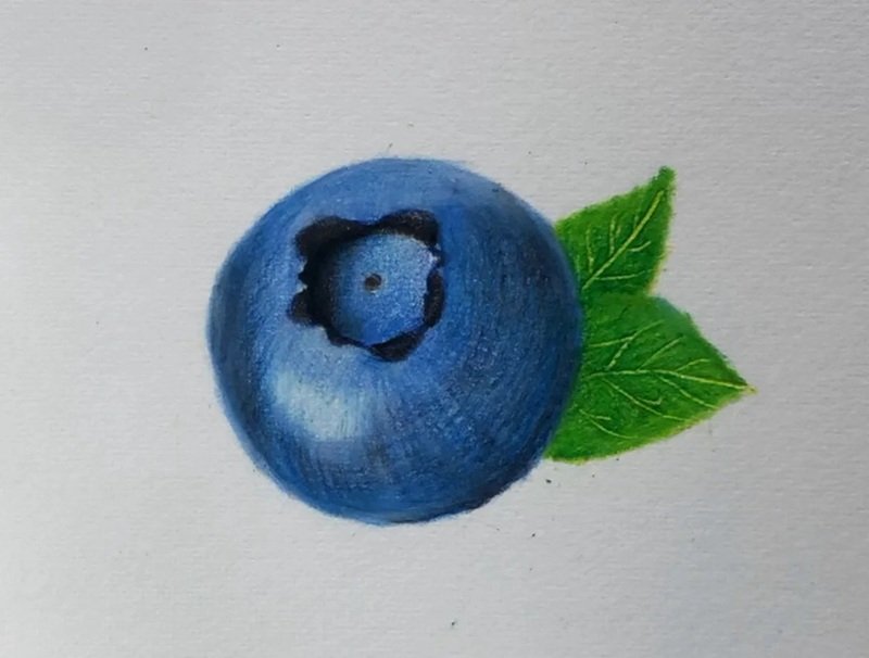 How to draw a blueberry beautiful 6