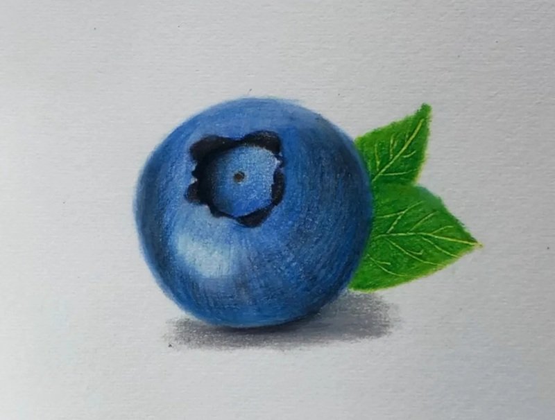 How to draw a blueberry beautiful
