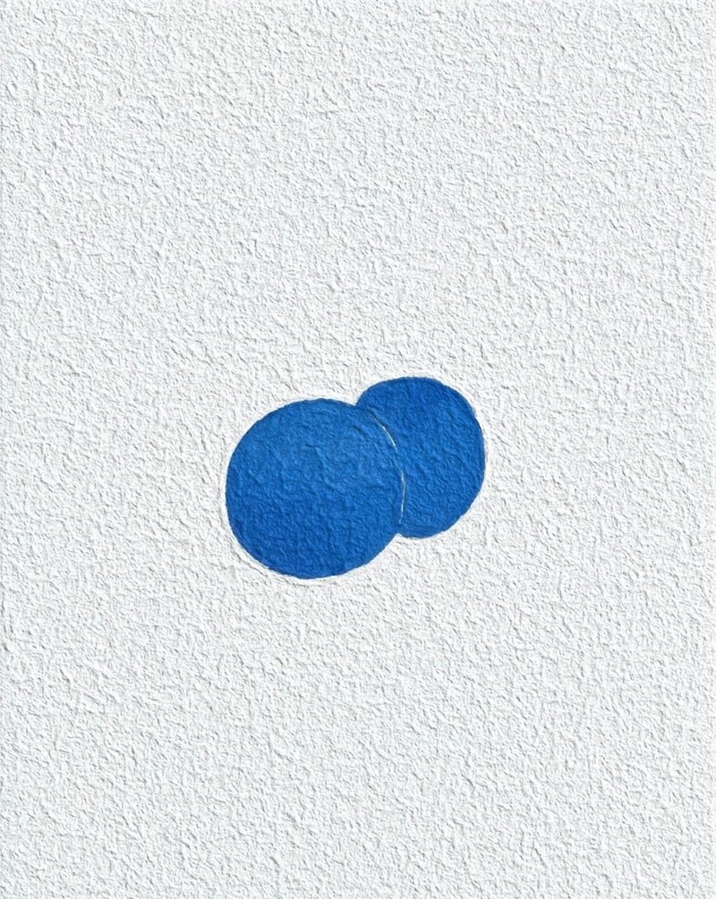 How to draw a blueberry easy 1