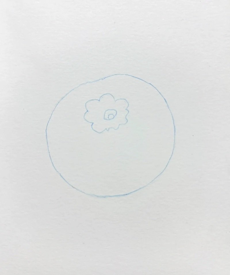 How to draw a blueberry step by step 1
