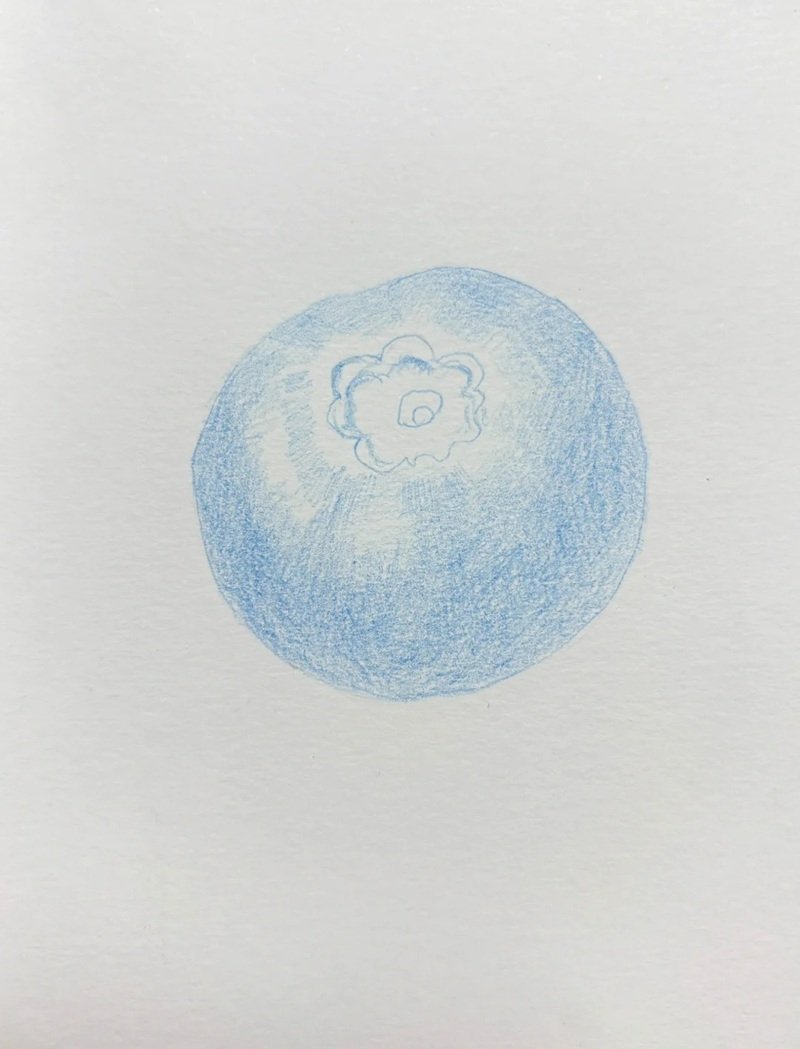 How to draw a blueberry step by step 2
