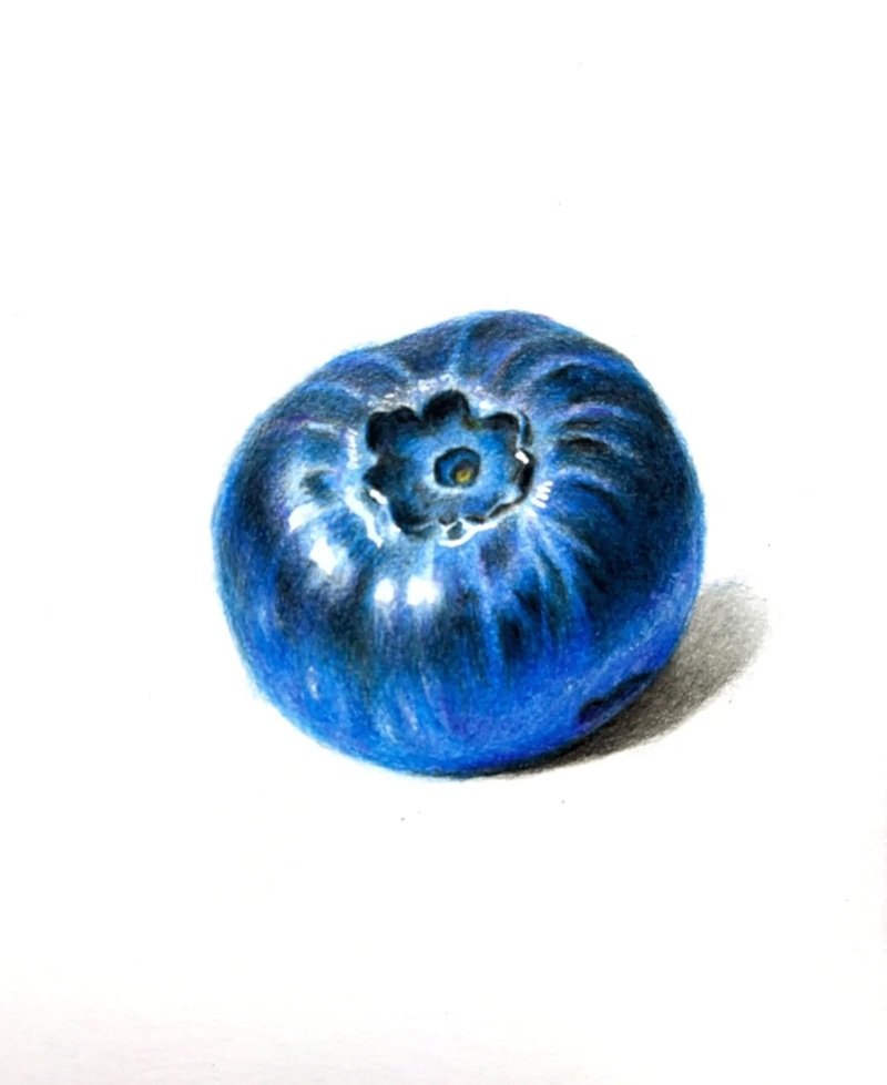 How to draw a blueberry step by step