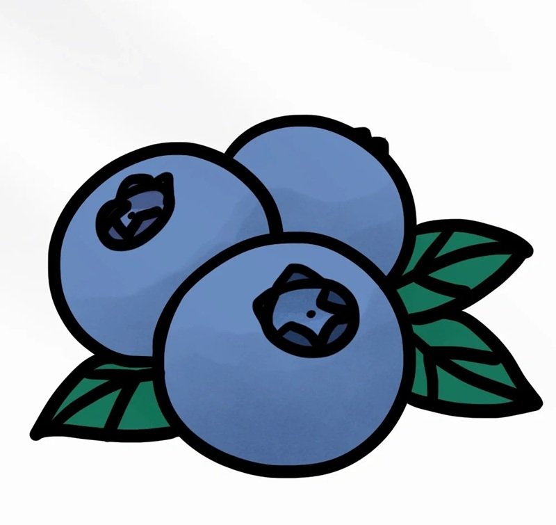 How to draw a blueberry